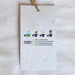 TAG-PAPEL-SEMENTE-