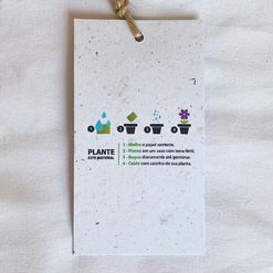 Tag Ecológico Papel Semente Reto - Semente de Rúcula - 100 unidades
