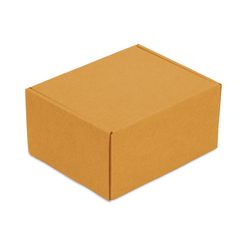 Embalagem para Envio Correio Klabin - 19 x 15 x 10 cm