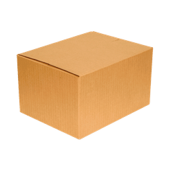Caixa de Papelão Light para Correio - 22 x 17 x 12 cm