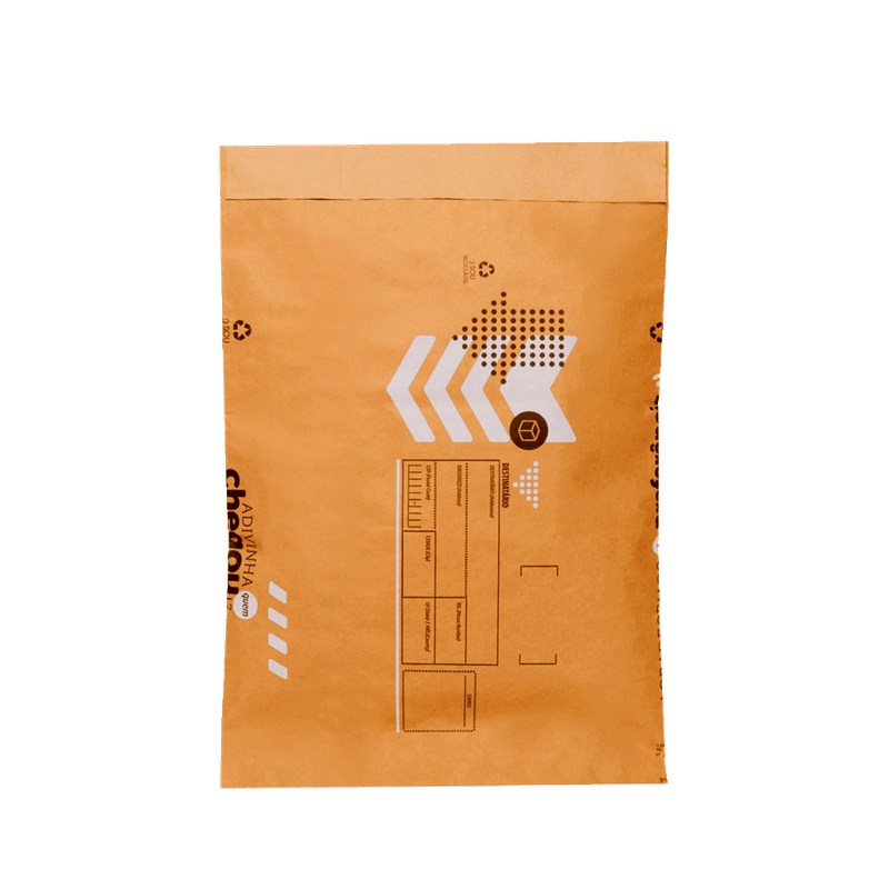 envelope_kraft_saco_seguranca_correio_sedex