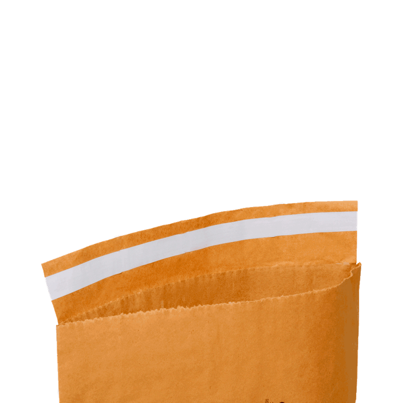 envelope_kraft_saco_seguranca_correio_sedex