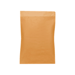 Envelope Kraft Saco Segurança Correio Sedex P - 24 x 35 cm
