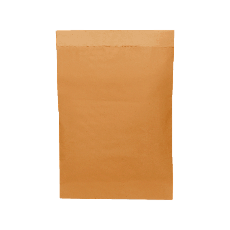 envelope_kraft_saco_seguranca_correio_sedex