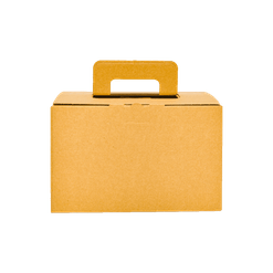 Caixa pra Viagem  - 28 x 22 x 17 cm
