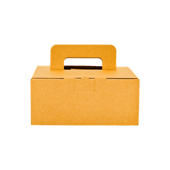 Caixa pra Viagem  - 23 x 16 x 10 cm