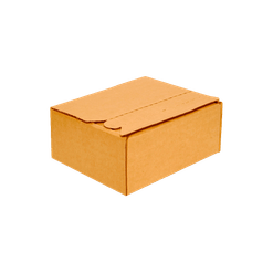 Caixa com Zíper - 20 x 17 x 8 cm