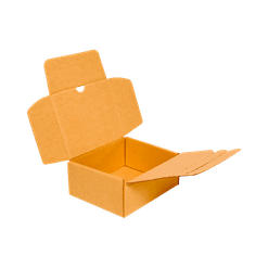Caixa com Zíper - 20 x 17 x 8 cm