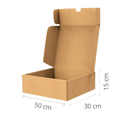 Caixa Sedex 50x30x15 cm lisa (sem impressão)