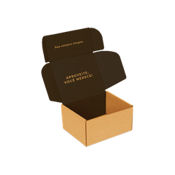 Embalagem para Envio Correio Cheguei 3 Preto Interno G - 23 x 19 x 12 cm