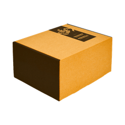 Embalagem para Envio Correio Cheguei 2 Preto G - 23 x 19 x 12 cm
