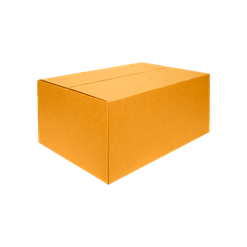Caixa de Papelão para Correio Transporte e Mudança - 52 x 41 x 21 cm
