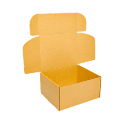 Embalagem para Envio Correio Light - 26 x 24 x 7 cm