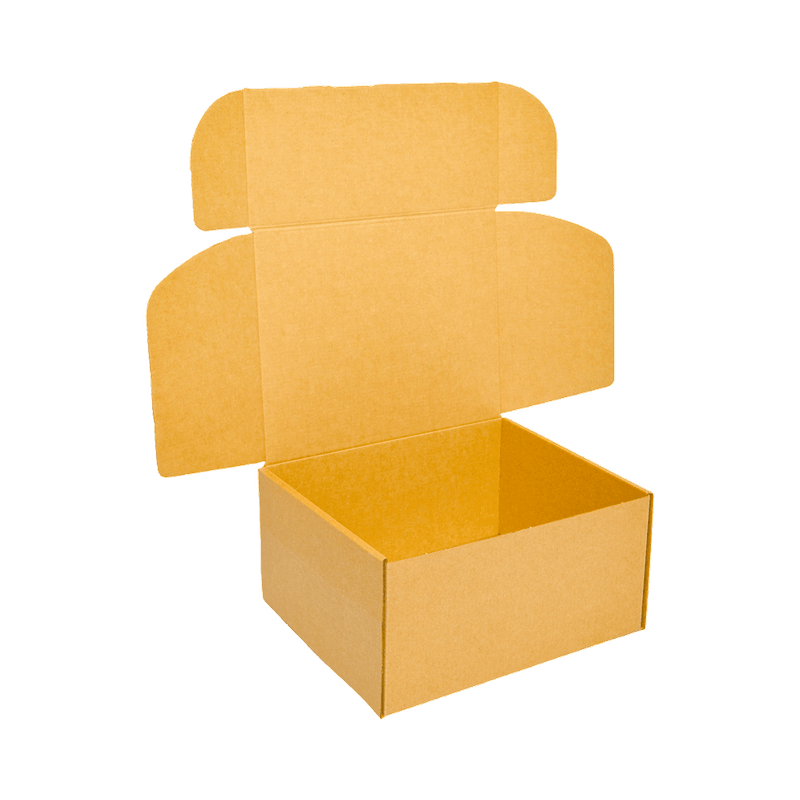 Embalagem-para-Envio-Correio-Light---26-x-24-x-7-cm