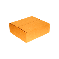 Caixa de Papelão para Correio - 32 x 24 x 8 cm