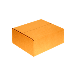 Caixa de Papelão para Correio - 25 x 18 x 8 cm