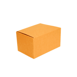 Caixa de Papelão para Correio - 24 x 13 x 12 cm