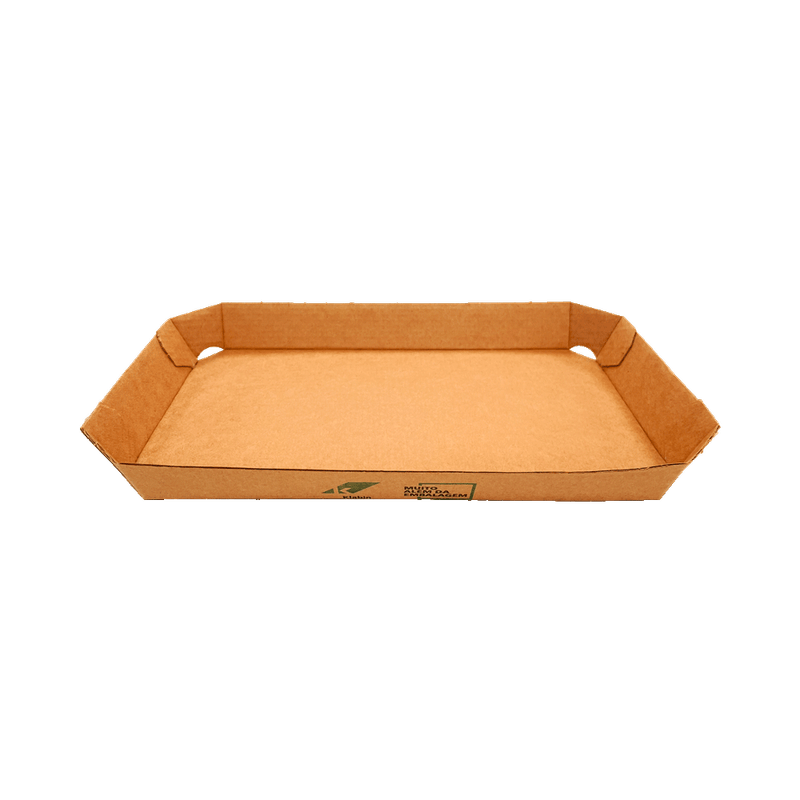 bandeja-para-frutas-e-legumes-com-impressao-24x18x3-pallet