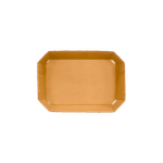 bandeja-para-frutas-e-legumes-com-impressao-18x12x3-pallet