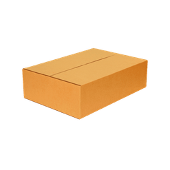 Caixa de Papelão para Correio Transporte e Mudança - 53 x 38 x 14 cm