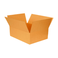 Caixa de Papelão para Correio Transporte e Mudança - 53 x 38 x 14 cm