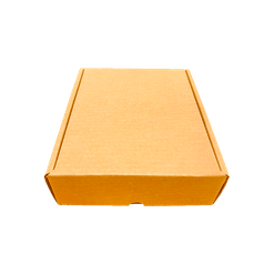 Embalagem para Envio Correio com Berço Regulável - 24 x 21 x 7 cm