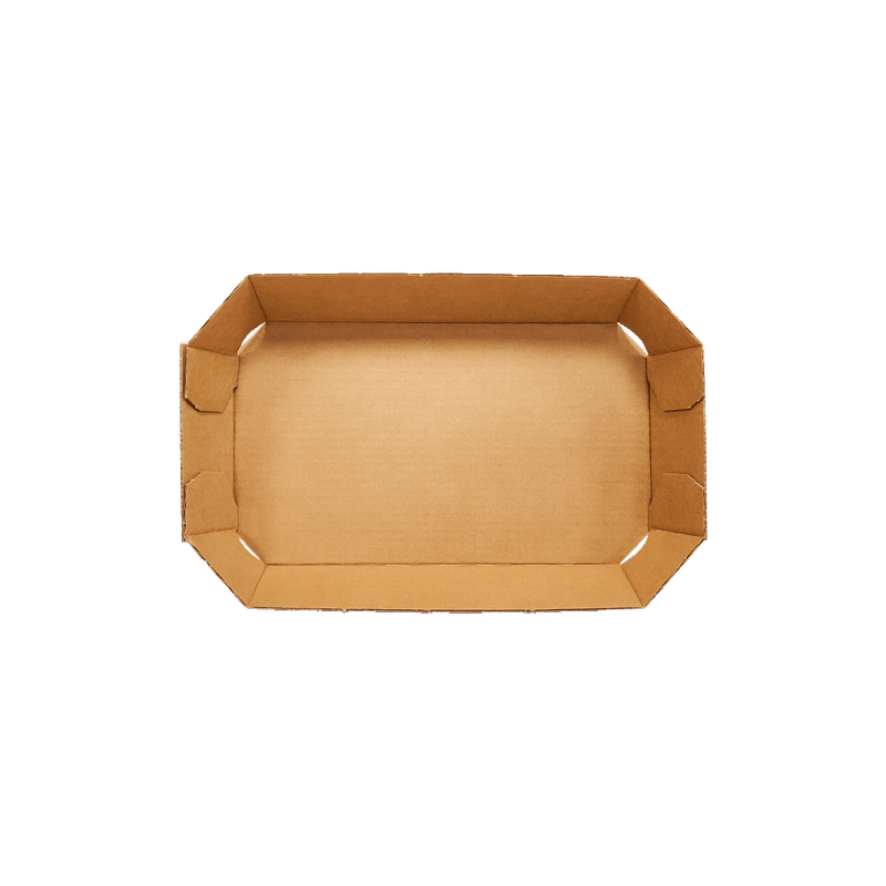 ID2461_Bandeja_FLV_19x11x3_2.png