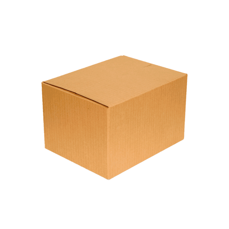 caixa-de-papelao-light-para-correio-166x116x10cm_1