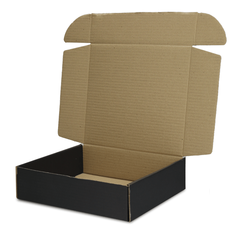 caixa_de_papel_o_preto_01_-_sedex_04_1