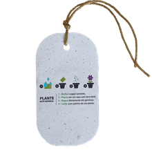 Tag Ecológico Papel Semente Oval - Semente de Cenoura - 100 unidades