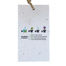 Tag Ecológico Papel Semente Reto - Semente de Margarida - 100 unidades