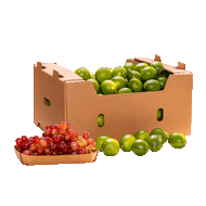 Hortifrúti